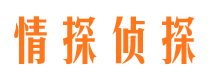 市中区侦探